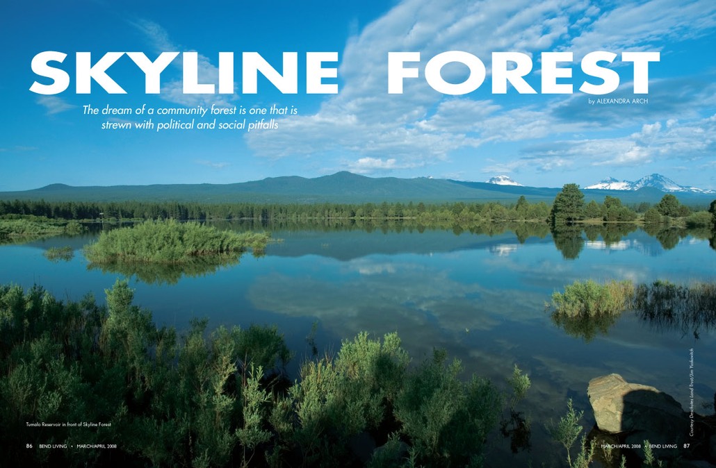 skylineForest
